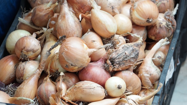 onions