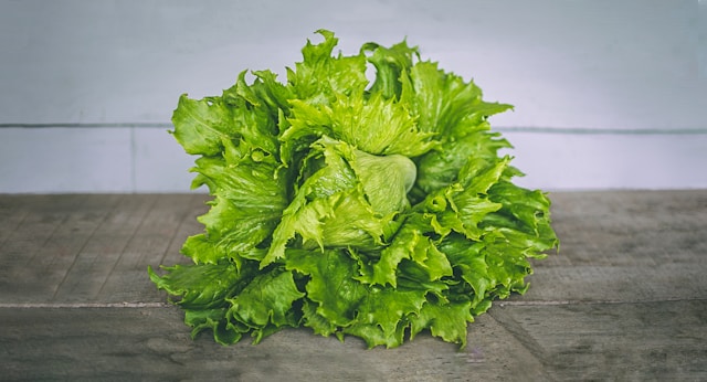 lettuce