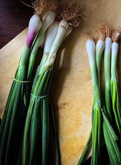 spring onions