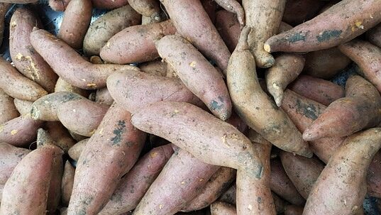 sweet potatoes