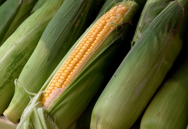 Sweet corn