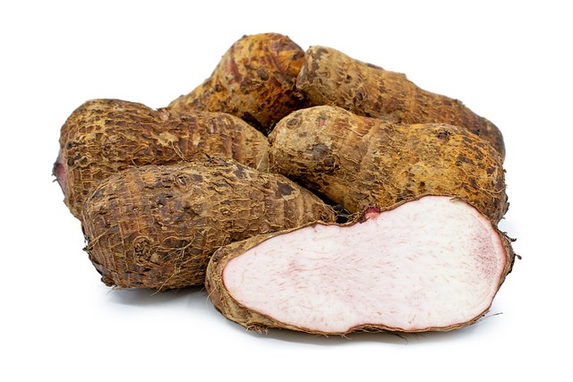 taro vegetable