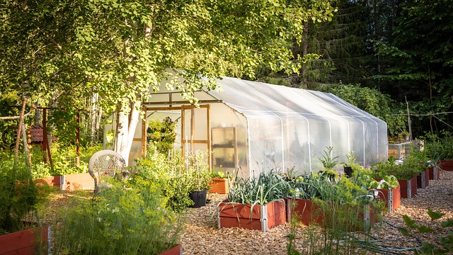 clean garden
